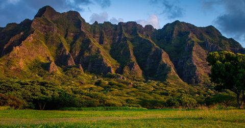 Edge of Paradise