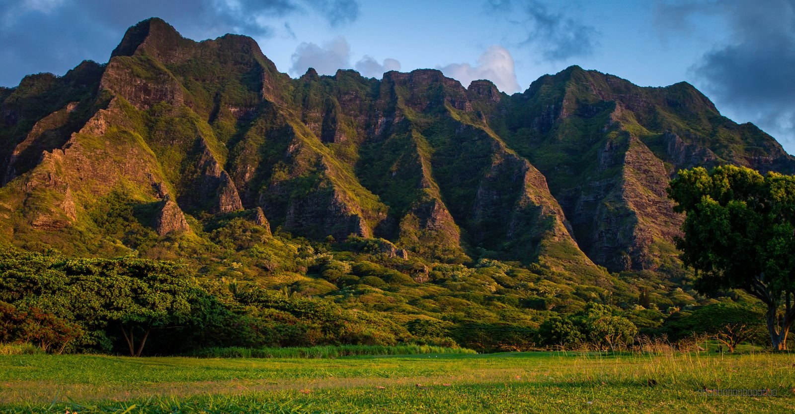 Edge of Paradise