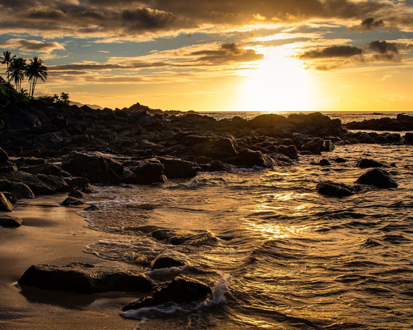 Hawaiian Gold