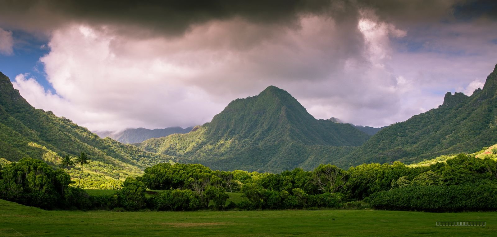 Oahu Majesty