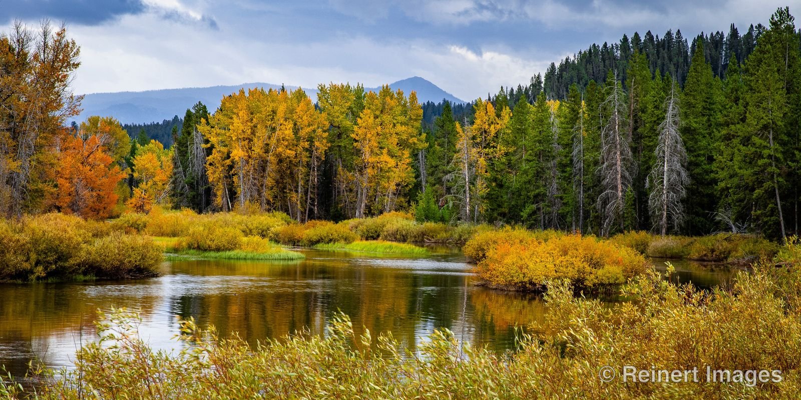 Autumn in the Tetons