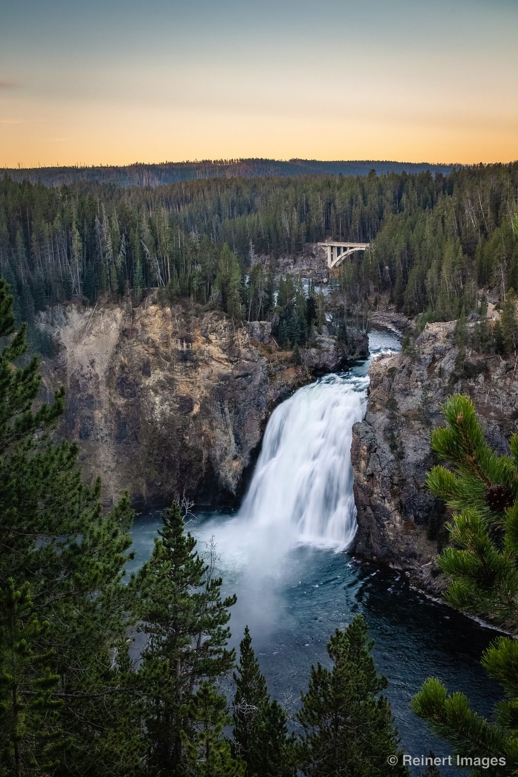 Yellowstone Rush